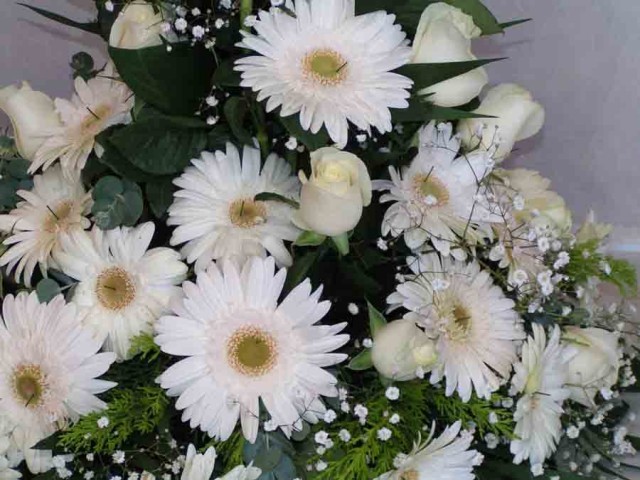 &Sigma;&upsilon;&lambda;&lambda;&upsilon;&pi;&eta;&tau;ή&rho;&iota;&omicron; &tau;&omega;&nu; &epsilon;&kappa;&pi;&alpha;&iota;&delta;&epsilon;&upsilon;&tau;&iota;&kappa;ώ&nu; &gamma;&iota;&alpha; &tau;&omicron; &chi;&alpha;&mu;ό &tau;&eta;&sigmaf; &Chi;&rho;. &Lambda;&iota;&beta;&alpha;&nu;&omicron;ύ