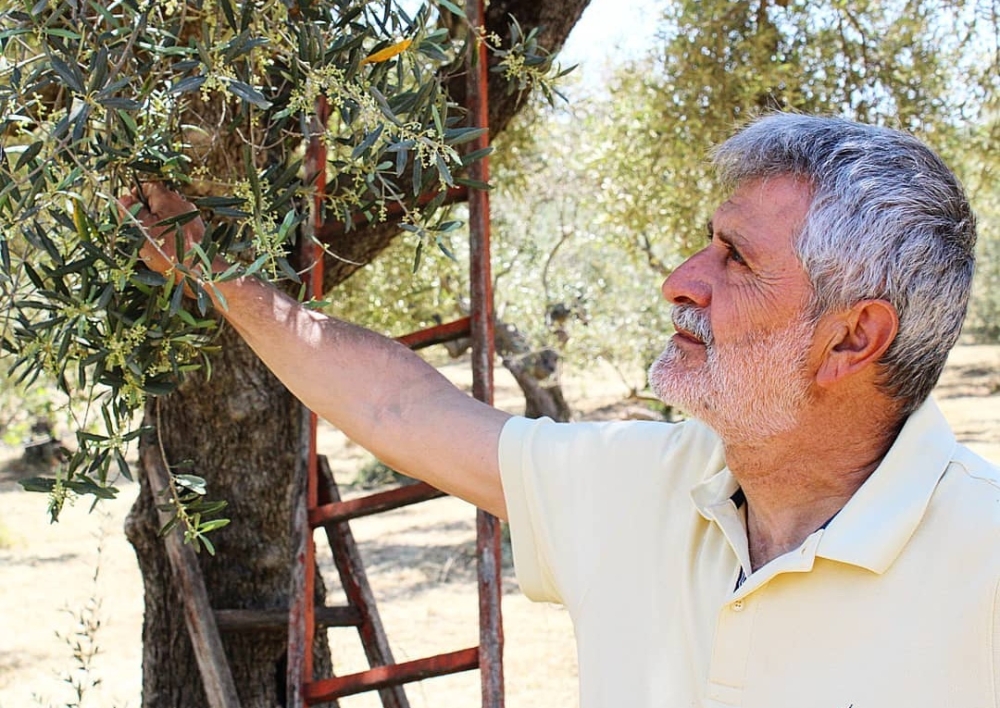 &Theta;&alpha; &pi;&omicron;ύ&mu;&epsilon; &tau;&omicron; &nu;&epsilon;&rho;ό, &nu;&epsilon;&rho;ά&kappa;&iota;!