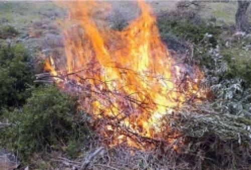 Ακόμα καίμε τα κλαδέματα