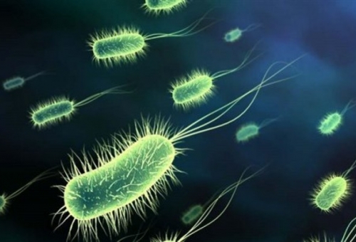 Δυο ώρες αρκούν για να εξαπλωθεί ένας ιός σε ένα ολόκληρο κτίριο