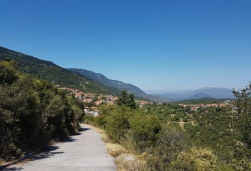 Λακε-Δαιμονικά: «Μην πλησιάσεις το φως, πρόσεχε, μπορεί να ‘ναι σμυρδάκι»