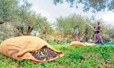 &Alpha;&nu;έ&tau;&omicron;&iota;&mu;&eta; &eta; &Pi;&epsilon;&lambda;&omicron;&pi;ό&nu;&nu;&eta;&sigma;&omicron;&sigmaf; &gamma;&iota;&alpha; &tau;&omicron; &alpha;&pi;&alpha;&nu;&omega;&tau;ό &psi;&eta;&phi;&iota;&alpha;&kappa;ό &pi;έ&rho;&alpha;&sigma;&mu;&alpha;