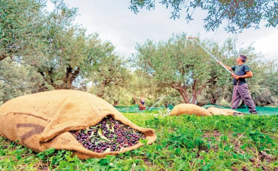 &Alpha;&nu;έ&tau;&omicron;&iota;&mu;&eta; &eta; &Pi;&epsilon;&lambda;&omicron;&pi;ό&nu;&nu;&eta;&sigma;&omicron;&sigmaf; &gamma;&iota;&alpha; &tau;&omicron; &alpha;&pi;&alpha;&nu;&omega;&tau;ό &psi;&eta;&phi;&iota;&alpha;&kappa;ό &pi;έ&rho;&alpha;&sigma;&mu;&alpha;