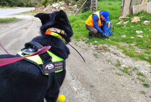 Θανάσιμη παγίδα στον Πάρνωνα με 95 φόλες σε 20 χιλιόμετρα