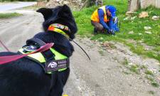 &Theta;&alpha;&nu;ά&sigma;&iota;&mu;&eta; &pi;&alpha;&gamma;ί&delta;&alpha; &sigma;&tau;&omicron;&nu; &Pi;ά&rho;&nu;&omega;&nu;&alpha; &mu;&epsilon; 95 &phi;ό&lambda;&epsilon;&sigmaf; &sigma;&epsilon; 20 &chi;&iota;&lambda;&iota;ό&mu;&epsilon;&tau;&rho;&alpha;