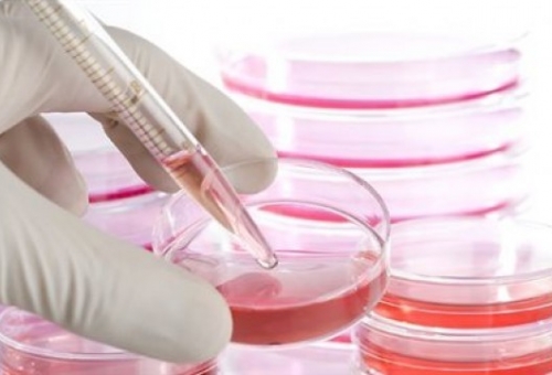 Νέα πιο αποτελεσματική μέθοδος δημιουργίας βλαστικών κυττάρων