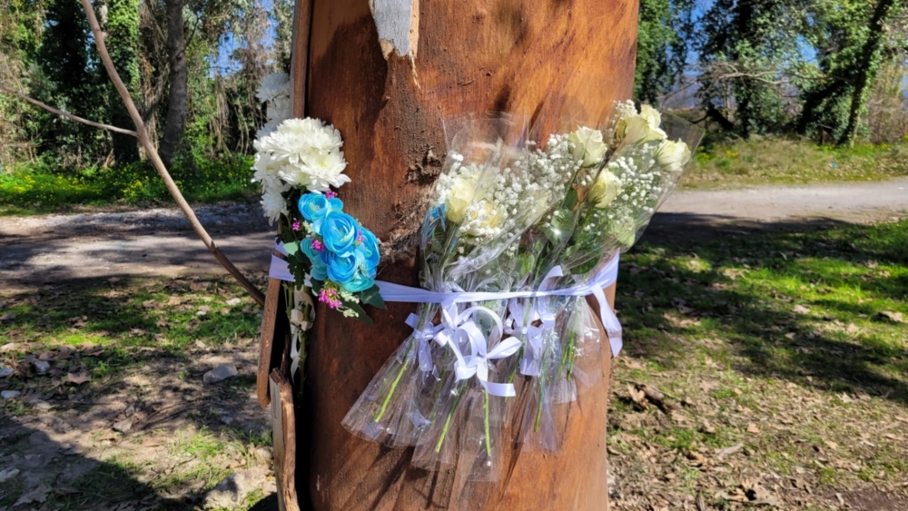 &Beta;&alpha;&rho;ύ &tau;&omicron; &pi;έ&nu;&theta;&omicron;&sigmaf; &sigma;&tau;&eta; &Sigma;&pi;ά&rho;&tau;&eta; &gamma;&iota;&alpha; &tau;&omicron;&nu; &Sigma;&omega;&kappa;&rho;ά&tau;&eta;, &tau;&omicron;&nu; &Pi;&alpha;&nu;&alpha;&gamma;&iota;ώ&tau;&eta; &kappa;&alpha;&iota; &tau;&omicron;&nu; &Gamma;&iota;ώ&rho;&gamma;&omicron;