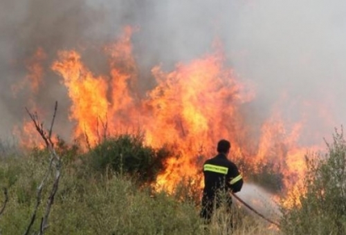 Κάηκαν 20 στρέμματα στη Δροσοπηγή Αν. Μάνης