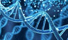 &laquo;DNA: &Tau;&omicron; &mu;ό&rho;&iota;&omicron; &tau;&eta;&sigmaf; &zeta;&omega;ή&sigmaf;&raquo;: &Alpha;&nu;&omicron;&iota;&chi;&tau;ή &epsilon;&kappa;&delta;ή&lambda;&omega;&sigma;&eta; &tau;&omicron;&upsilon; sparta.komvos &phi;&omega;&tau;ί&zeta;&epsilon;&iota; &tau;&alpha; &mu;&upsilon;&sigma;&tau;&iota;&kappa;ά &tau;&eta;&sigmaf; &zeta;&omega;ή&sigmaf;