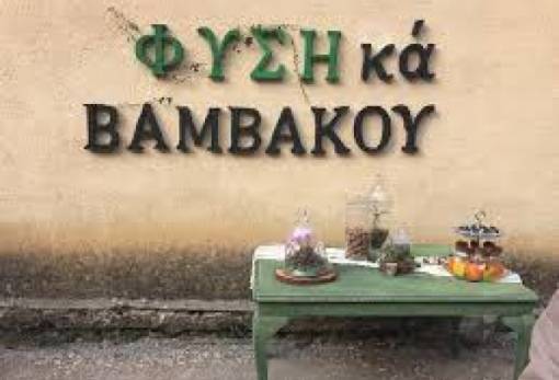 Νέες συναρπαστικές εμπειρίες τον Φεβρουάριο στη Βαμβακού