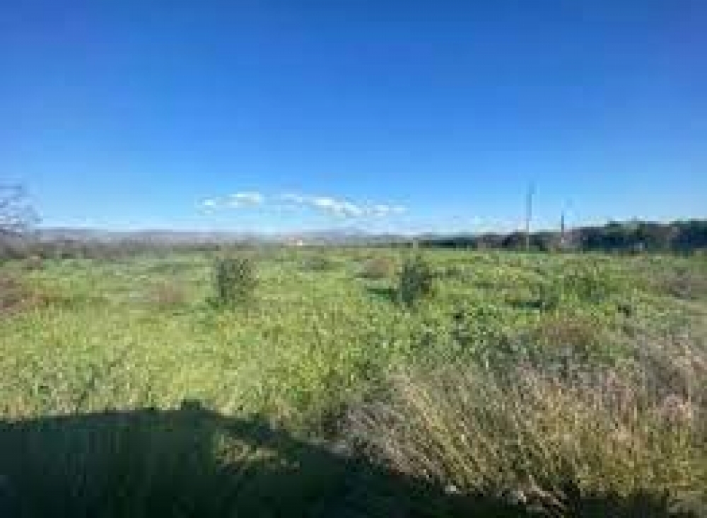 &Pi;&alpha;&nu;&alpha;&gamma;&iota;&omega;&tau;&alpha;&kappa;ά&kappa;&omicron;&sigmaf;: &Tau;&alpha; &kappa;&lambda;&eta;&rho;&omicron;&delta;&omicron;&tau;ή&mu;&alpha;&tau;&alpha; &delta;&epsilon;&nu; &epsilon;ί&nu;&alpha;&iota; &gamma;&iota;&omicron;&upsilon;&sigma;&omicron;&upsilon;&rho;&omicron;ύ&mu;