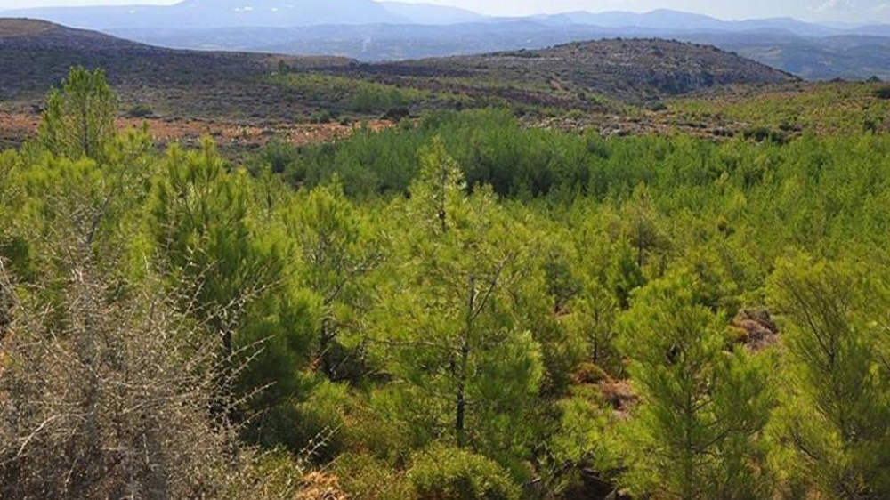 &Kappa;&rho;&omicron;ύ&sigma;&eta; &gamma;&iota;&alpha; &delta;&epsilon;ύ&tau;&epsilon;&rho;&eta; &epsilon;&upsilon;&kappa;&alpha;&iota;&rho;ί&alpha; &sigma;&tau;&iota;&sigmaf; &delta;&alpha;&sigma;&iota;&kappa;έ&sigmaf; &alpha;&nu;&tau;&iota;&rho;&rho;ή&sigma;&epsilon;&iota;&sigmaf; &gamma;&iota;&alpha; &tau;&eta; &Lambda;&alpha;&kappa;&omega;&nu;ί&alpha;