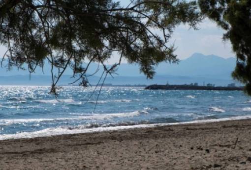 Νεκρός ανασύρθηκε άνδρας στην παραλία της Γλυκόβρυσης