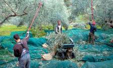 &Epsilon;&pi;&iota;&delta;&omicron;&tau;ή&sigma;&epsilon;&iota;&sigmaf;... &mu;&epsilon;&tau;&rsquo; &epsilon;&pi;&iota;&sigma;&tau;&rho;&omicron;&phi;ή&sigmaf; &tau;&rho;ί&alpha; &chi;&rho;ό&nu;&iota;&alpha; &mu;&epsilon;&tau;ά