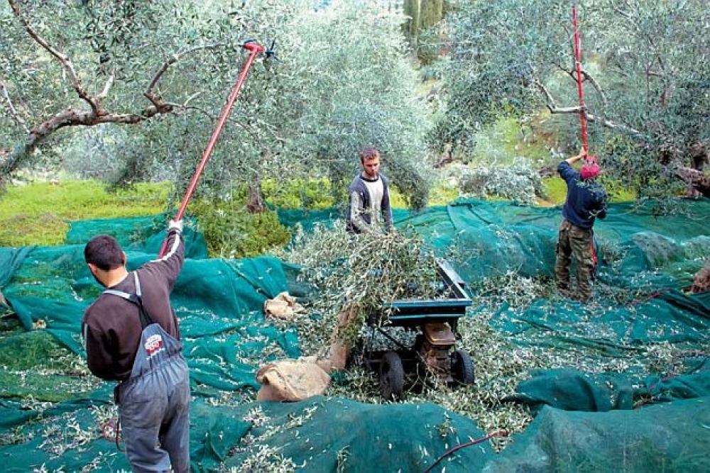 &Epsilon;&pi;&iota;&delta;&omicron;&tau;ή&sigma;&epsilon;&iota;&sigmaf;... &mu;&epsilon;&tau;&rsquo; &epsilon;&pi;&iota;&sigma;&tau;&rho;&omicron;&phi;ή&sigmaf; &tau;&rho;ί&alpha; &chi;&rho;ό&nu;&iota;&alpha; &mu;&epsilon;&tau;ά