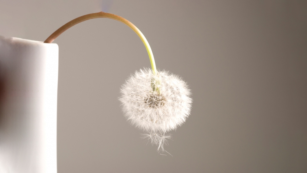 &Tau;&omicron; &sigma;&nu;&alpha;&kappa; &pi;&omicron;&upsilon; &beta;&omicron;&eta;&theta;ά &tau;&omicron;&upsilon;&sigmaf; ά&nu;&delta;&rho;&epsilon;&sigmaf; &mu;&epsilon; &sigma;&tau;&upsilon;&tau;&iota;&kappa;ή &delta;&upsilon;&sigma;&lambda;&epsilon;&iota;&tau;&omicron;&upsilon;&rho;&gamma;ί&alpha;