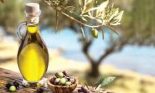 &Eta; &Lambda;&alpha;&kappa;&omega;&nu;ί&alpha; &sigma;&tau;&omicron;&nu; &pi;&upsilon;&rho;ή&nu;&alpha; &tau;&eta;&sigmaf; &epsilon;&pi;ό&mu;&epsilon;&nu;&eta;&sigmaf; &eta;&mu;έ&rho;&alpha;&sigmaf; &gamma;&iota;&alpha; &tau;&omicron; &lambda;ά&delta;&iota;