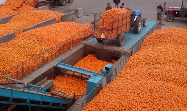 &Delta;&omega;&rho;&epsilon;ά &sigma;&epsilon; &rho;&omega;&sigma;&iota;&kappa;ό &mu;&omicron;&nu;&alpha;&sigma;&tau;ή&rho;&iota; &tau;&alpha; &pi;&omicron;&rho;&tau;&omicron;&kappa;ά&lambda;&iota;&alpha; &pi;&omicron;&upsilon; &gamma;ύ&rho;&iota;&sigma;&alpha;&nu; &lambda;ό&gamma;&omega; &epsilon;&mu;&pi;ά&rho;&gamma;&kappa;&omicron;