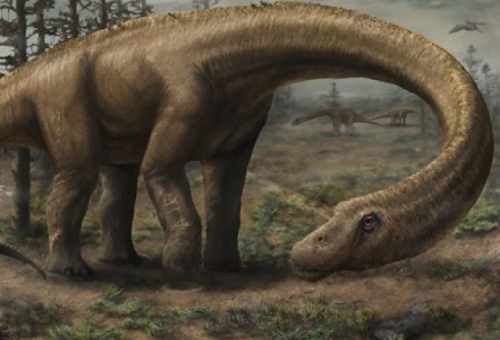 Ανακαλύφθηκε ο μεγαλύτερος δεινόσαυρος του κόσμου;