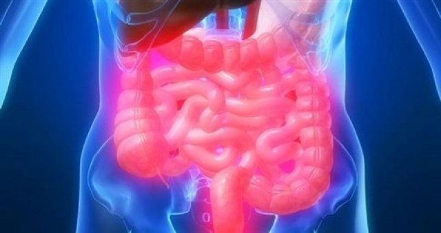 &Epsilon;&rho;&epsilon;&upsilon;&nu;&eta;&tau;έ&sigmaf; &pi;έ&tau;&upsilon;&chi;&alpha;&nu; &tau;&eta; &delta;&eta;&mu;&iota;&omicron;&upsilon;&rho;&gamma;ί&alpha; &alpha;&nu;&theta;&rho;ώ&pi;&iota;&nu;&omicron;&upsilon; &epsilon;&nu;&tau;έ&rho;&omicron;&upsilon; &sigma;&epsilon; &pi;&epsilon;&iota;&rho;&alpha;&mu;&alpha;&tau;&iota;&kappa;ό &pi;&epsilon;&rho;&iota;&beta;ά&lambda;&lambda;&omicron;&nu;