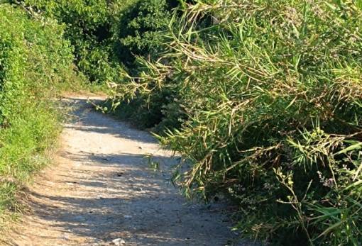 Το «κενό» της Αγροφυλακής στους καθαρισμούς των αγροτικών δρόμων