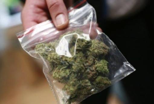 Σπείρα «έσπρωχνε» ναρκωτικά στη Λακωνία (ΦΩΤΟ)