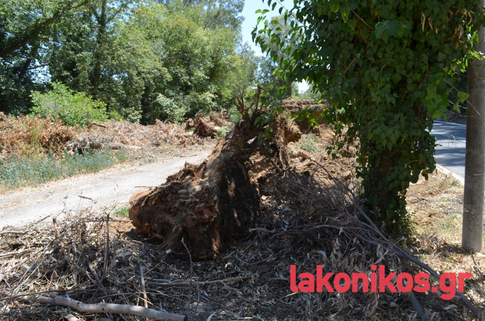 &laquo;&Eta; &Kappa;&alpha;&nu;&epsilon;&lambda;&lambda;&omicron;&pi;&omicron;ύ&lambda;&omicron;&upsilon; &tau;&rho;&omicron;&mu;&omicron;&kappa;&rho;&alpha;&tau;&epsilon;ί &kappa;&alpha;&iota; &sigma;&upsilon;&kappa;&omicron;&phi;&alpha;&nu;&tau;&epsilon;ί &alpha;&iota;&rho;&epsilon;&tau;&omicron;ύ&sigmaf; &kappa;&alpha;&iota; &upsilon;&pi;&eta;&rho;&epsilon;&sigma;&iota;&alpha;&kappa;&omicron;ύ&sigmaf; &pi;&alpha;&rho;ά&gamma;&omicron;&nu;&tau;&epsilon;&sigmaf;&raquo;