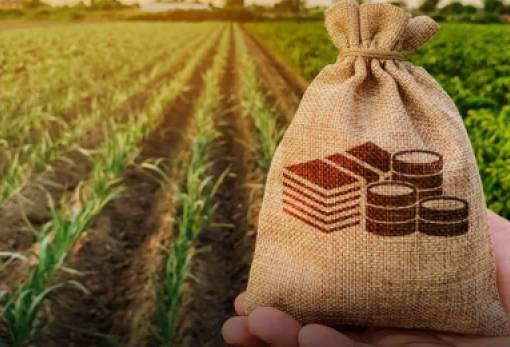 ΥπΑΑΤ: Ενεργοποιείται το Ταμείο Μικρών Δανείων Αγροτικής Επιχειρηματικότητας