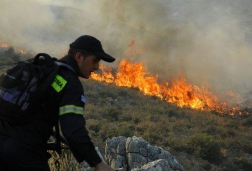  Περιορίστηκε έγκαιρα η πυρκαγιά στην Κάτω Καρέα Μάνης
