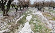 Εγκρίθηκαν οι αναγγελίες ζημιών από το χαλάζι στον Δ. Ευρώτα