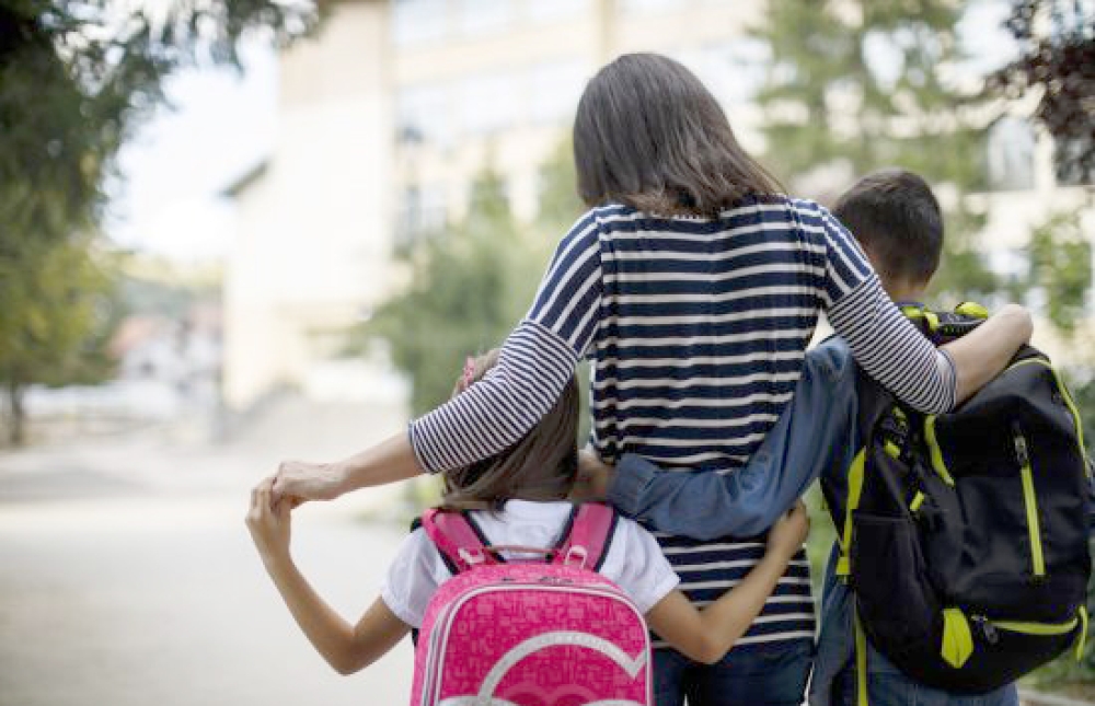 &Sigma;&tau;&omicron; &pi;&lambda;&epsilon;&upsilon;&rho;ό &tau;&omega;&nu; &delta;&alpha;&sigma;&kappa;ά&lambda;&omega;&nu; &omicron;&iota; &gamma;&omicron;&nu;&epsilon;ί&sigmaf; &mu;&alpha;&theta;&eta;&tau;ώ&nu; &tau;&eta;&sigmaf; &Sigma;&pi;ά&rho;&tau;&eta;&sigmaf;