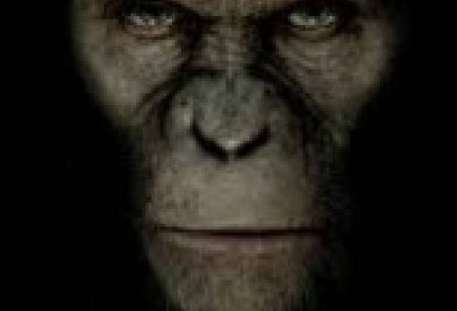 «Rise of the Planet of the apes»