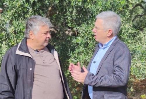 Μάκαρης από Μολάους: «Να αλλάξει ριζικά  το σύστημα δακοκτονίας στην Πελοπόννησο»