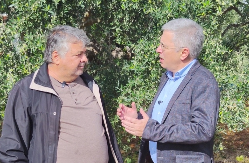 Μάκαρης από Μολάους: «Να αλλάξει ριζικά  το σύστημα δακοκτονίας στην Πελοπόννησο»