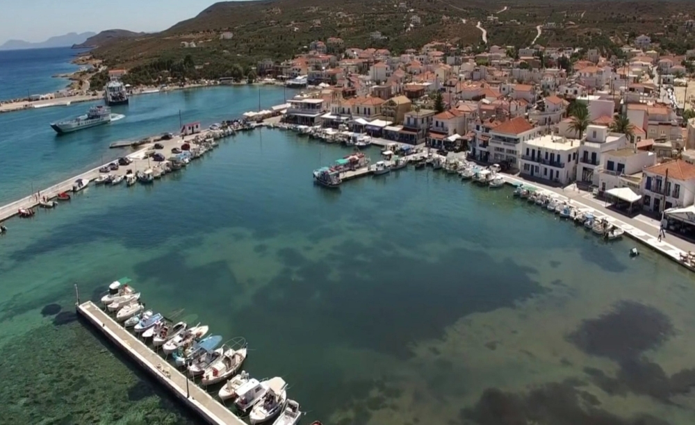 &Omicron;&rho;&iota;&sigma;&tau;&iota;&kappa;ό&sigmaf; &alpha;&nu;ά&delta;&omicron;&chi;&omicron;&sigmaf; &gamma;&iota;&alpha; &tau;&omicron;&nu; &Beta;&iota;&omicron;&lambda;&omicron;&gamma;&iota;&kappa;ό &tau;&eta;&sigmaf; &Epsilon;&lambda;&alpha;&phi;&omicron;&nu;ή&sigma;&omicron;&upsilon;