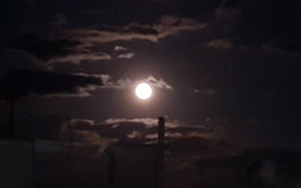 &Mu;ά&gamma;&epsilon;&psi;&epsilon; &eta; &mu;&alpha;&gamma;&iota;ά&tau;&iota;&kappa;&eta; &upsilon;&pi;&epsilon;&rho;&pi;&alpha;&nu;&sigma;έ&lambda;&eta;&nu;&omicron;&sigmaf; &sigma;&tau;&eta; &Sigma;&pi;ά&rho;&tau;&eta;... (&Phi;&Omega;&Tau;&Omicron;)