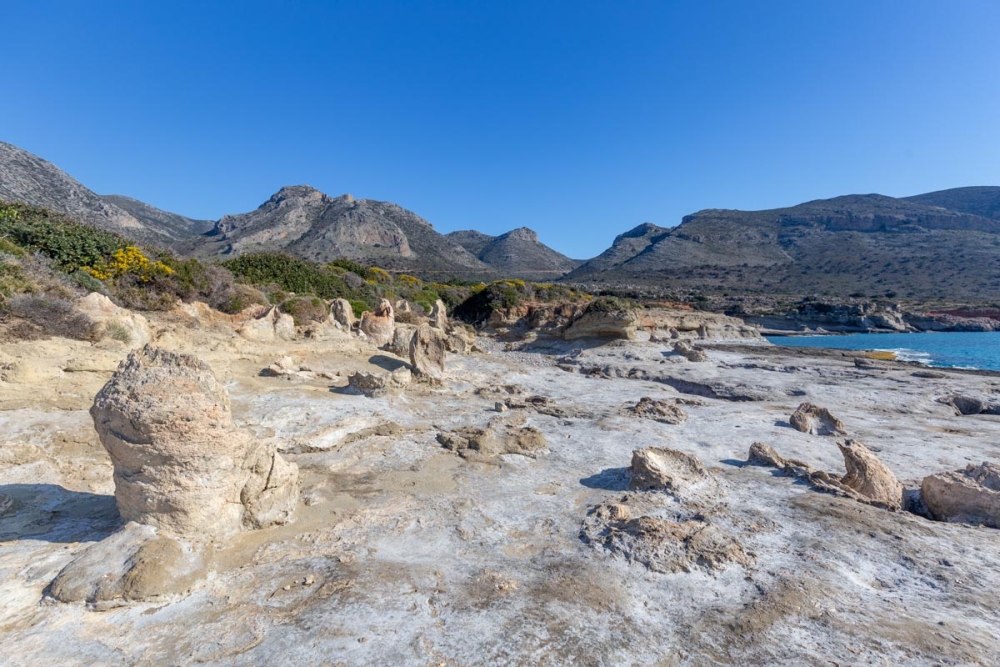 &Kappa;&alpha;&theta;&eta;&mu;&epsilon;&rho;&iota;&nu;έ&sigmaf; &delta;&omega;&rho;&epsilon;ά&nu; &xi;&epsilon;&nu;&alpha;&gamma;ή&sigma;&epsilon;&iota;&sigmaf; &sigma;&tau;&omicron; &Gamma;&epsilon;&omega;&pi;ά&rho;&kappa;&omicron; &Alpha;&gamma;ί&omicron;&upsilon; &Nu;&iota;&kappa;&omicron;&lambda;ά&omicron;&upsilon; &Beta;&omicron;&iota;ώ&nu;