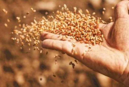 FAO: Πτώση στον Δείκτη Τιμών Τροφίμων τον Δεκέμβριο του 2024