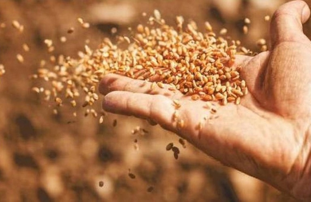 FAO: &Pi;&tau;ώ&sigma;&eta; &sigma;&tau;&omicron;&nu; &Delta;&epsilon;ί&kappa;&tau;&eta; &Tau;&iota;&mu;ώ&nu; &Tau;&rho;&omicron;&phi;ί&mu;&omega;&nu; &tau;&omicron;&nu; &Delta;&epsilon;&kappa;έ&mu;&beta;&rho;&iota;&omicron; &tau;&omicron;&upsilon; 2024