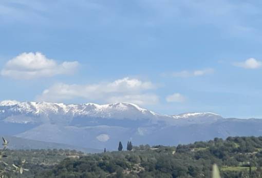 «Μάρτης-γδάρτης» στη Σπάρτη: Χιονισμένος ο Πάρνωνας και τσουχτερό κρύο στον κάμπο