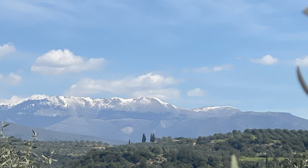 &laquo;&Mu;ά&rho;&tau;&eta;&sigmaf;-&gamma;&delta;ά&rho;&tau;&eta;&sigmaf;&raquo; &sigma;&tau;&eta; &Sigma;&pi;ά&rho;&tau;&eta;: &Chi;&iota;&omicron;&nu;&iota;&sigma;&mu;έ&nu;&omicron;&sigmaf; &omicron; &Pi;ά&rho;&nu;&omega;&nu;&alpha;&sigmaf; &kappa;&alpha;&iota; &tau;&sigma;&omicron;&upsilon;&chi;&tau;&epsilon;&rho;ό &kappa;&rho;ύ&omicron; &sigma;&tau;&omicron;&nu; &kappa;ά&mu;&pi;&omicron;