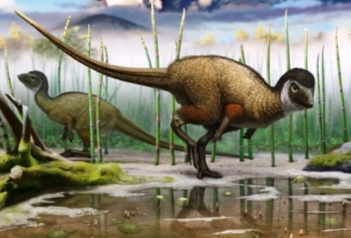 Φτερά, πούπουλα και τεράστια γκαντεμιά για τους δεινόσαυρους