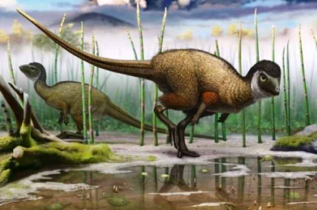 &Phi;&tau;&epsilon;&rho;ά, &pi;&omicron;ύ&pi;&omicron;&upsilon;&lambda;&alpha; &kappa;&alpha;&iota; &tau;&epsilon;&rho;ά&sigma;&tau;&iota;&alpha; &gamma;&kappa;&alpha;&nu;&tau;&epsilon;&mu;&iota;ά &gamma;&iota;&alpha; &tau;&omicron;&upsilon;&sigmaf; &delta;&epsilon;&iota;&nu;ό&sigma;&alpha;&upsilon;&rho;&omicron;&upsilon;&sigmaf;