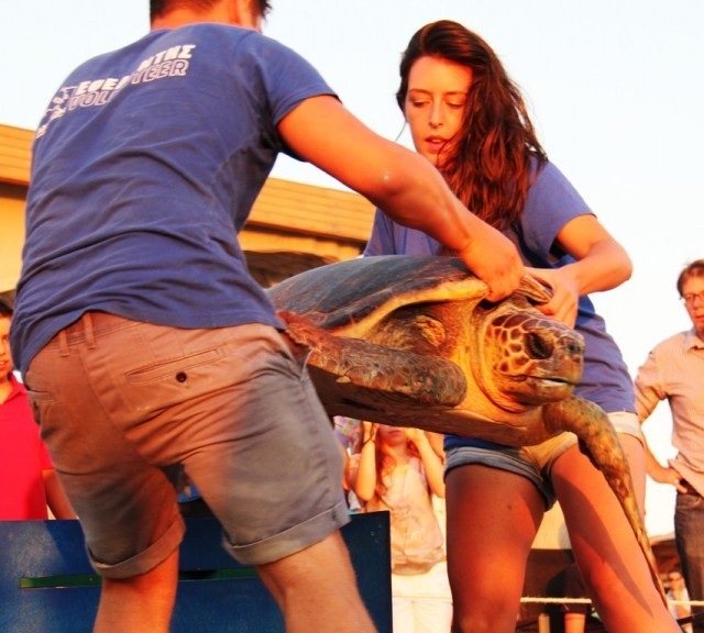 &Alpha;&pi;&epsilon;&lambda;&epsilon;&upsilon;&theta;έ&rho;&omega;&sigma;&eta; &theta;&alpha;&lambda;ά&sigma;&sigma;&iota;&alpha;&sigmaf; &chi;&epsilon;&lambda;ώ&nu;&alpha;&sigmaf; &sigma;&tau;&eta;&nu; &pi;&alpha;&rho;&alpha;&lambda;ί&alpha; &Rho;&omega;&mu;&alpha;&nu;&omicron;ύ