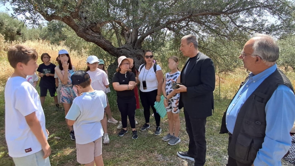 &Delta;&rho;ά&sigma;&eta; &tau;&eta;&sigmaf; &Epsilon;&Phi;&Alpha;&Lambda;&Alpha;&Kappa; &gamma;&iota;&alpha; &tau;&eta;&nu; &alpha;&nu;ά&delta;&epsilon;&iota;&xi;&eta; &Pi;&epsilon;&rho;&iota;&beta;ά&lambda;&lambda;&omicron;&nu;&tau;&omicron;&sigmaf; &kappa;&alpha;&iota; &Pi;&omicron;&lambda;&iota;&tau;&iota;&sigma;&mu;&omicron;ύ &sigma;&tau;&eta;&nu; &alpha;&rho;&chi;&alpha;ί&alpha; &Alpha;&kappa;&rho;ό&pi;&omicron;&lambda;&eta;