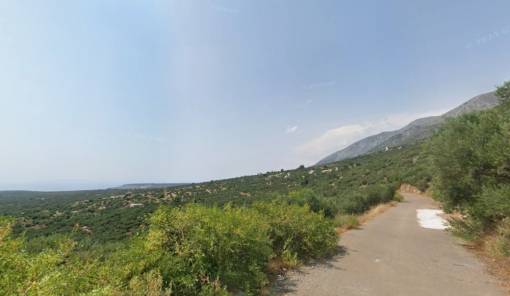&Kappa;&alpha;&tau;&alpha;&gamma;&gamma;&epsilon;&lambda;ί&alpha; &kappa;&alpha;&tau;&omicron;ί&kappa;&omega;&nu; &Pi;&alpha;&lambda;&alpha;&iota;ό&chi;&omega;&rho;&alpha;&sigmaf; &Delta;&iota;&rho;&omicron;ύ &gamma;&iota;&alpha; &pi;&omicron;&lambda;&upsilon;ή&mu;&epsilon;&rho;&eta; &delta;&iota;&alpha;&kappa;&omicron;&pi;ή &nu;&epsilon;&rho;&omicron;ύ