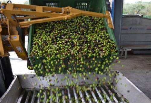 Λακωνικά κεφάλαια σε Πρωτογενή Τομέα, Μεταποίηση, Τουρισμό