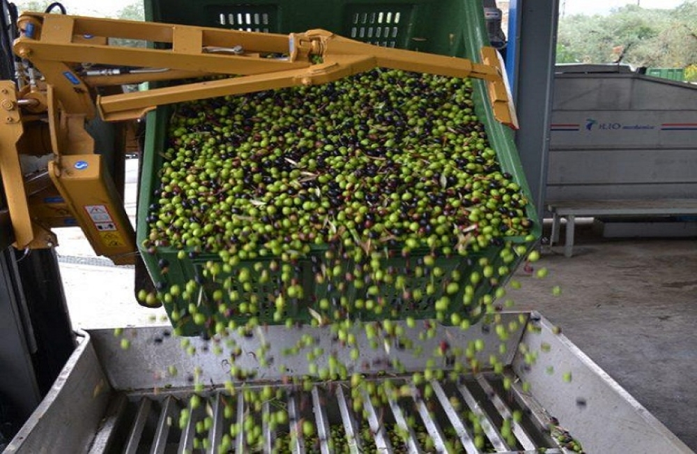 Λακωνικά κεφάλαια σε Πρωτογενή Τομέα, Μεταποίηση, Τουρισμό