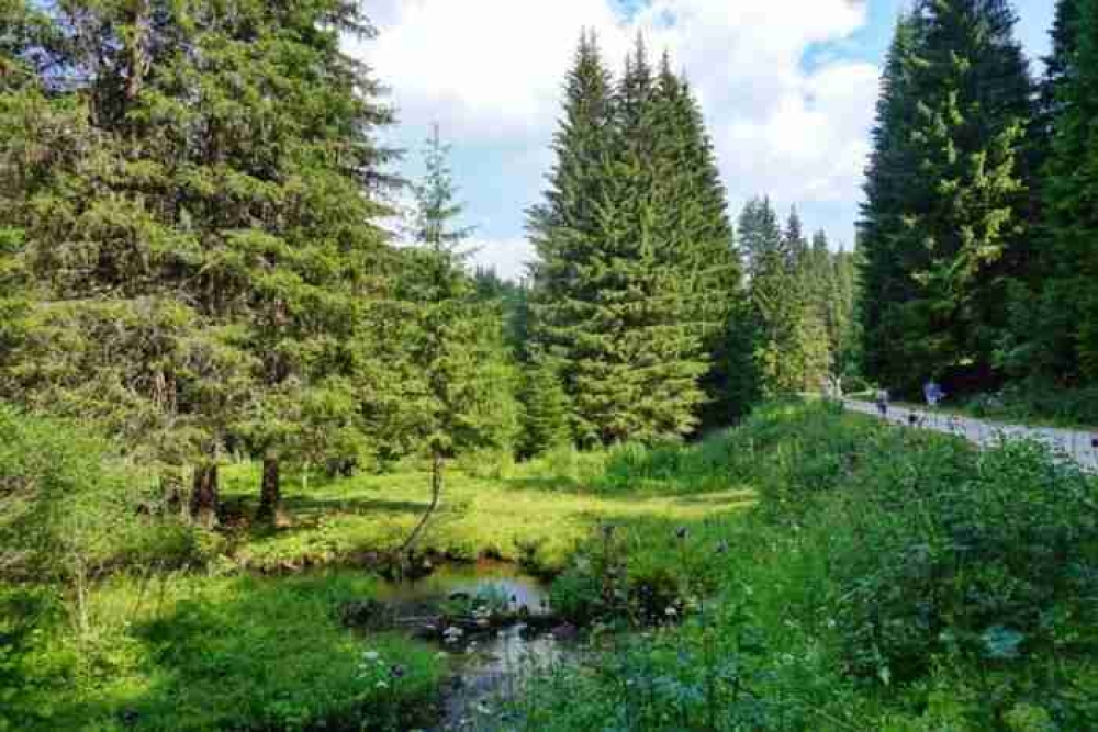 &Tau;&omicron; &Chi;&rho;&iota;&sigma;&tau;&omicron;&upsilon;&gamma;&epsilon;&nu;&nu;&iota;ά&tau;&iota;&kappa;&omicron; &delta;έ&nu;&tau;&rho;&omicron;