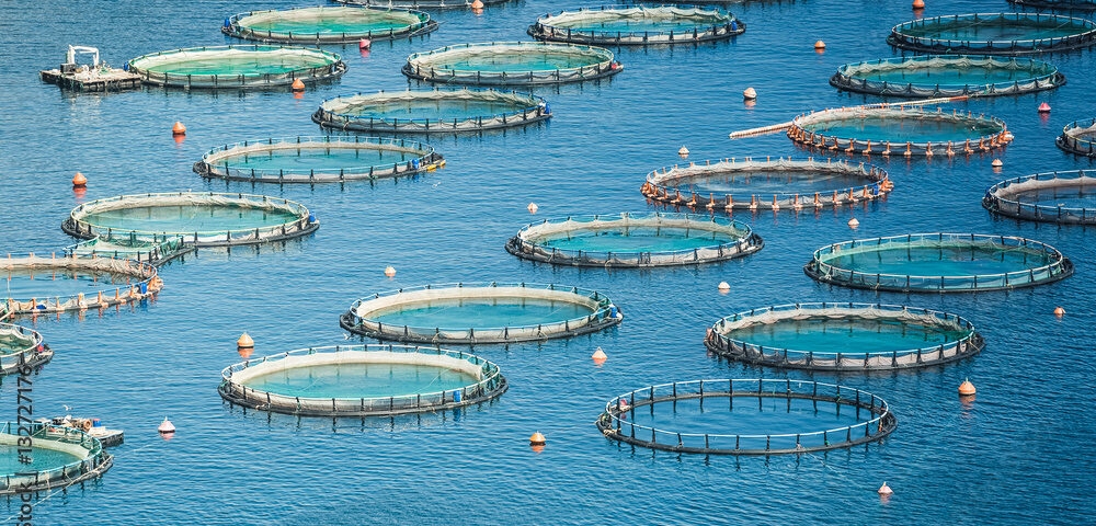 &Nu;έ&omicron; &pi;&rho;ό&gamma;&rho;&alpha;&mu;&mu;&alpha; 26 &epsilon;&kappa;&alpha;&tau;. &epsilon;&upsilon;&rho;ώ &gamma;&iota;&alpha; &tau;&eta;&nu; &epsilon;&nu;ί&sigma;&chi;&upsilon;&sigma;&eta; &tau;&eta;&sigmaf; &mu;&epsilon;&tau;&alpha;&pi;&omicron;ί&eta;&sigma;&eta;&sigmaf; &pi;&rho;&omicron;ϊό&nu;&tau;&omega;&nu; &alpha;&lambda;&iota;&epsilon;ί&alpha;&sigmaf; &kappa;&alpha;&iota; &upsilon;&delta;&alpha;&tau;&omicron;&kappa;&alpha;&lambda;&lambda;&iota;έ&rho;&gamma;&epsilon;&iota;&alpha;&sigmaf;